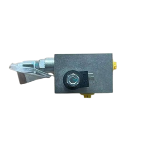 XCMG Material Number 803081276 XGC45 Relief Valve