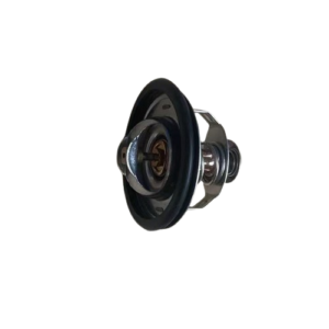 XCMG 800148462 Thermostat For XE230C